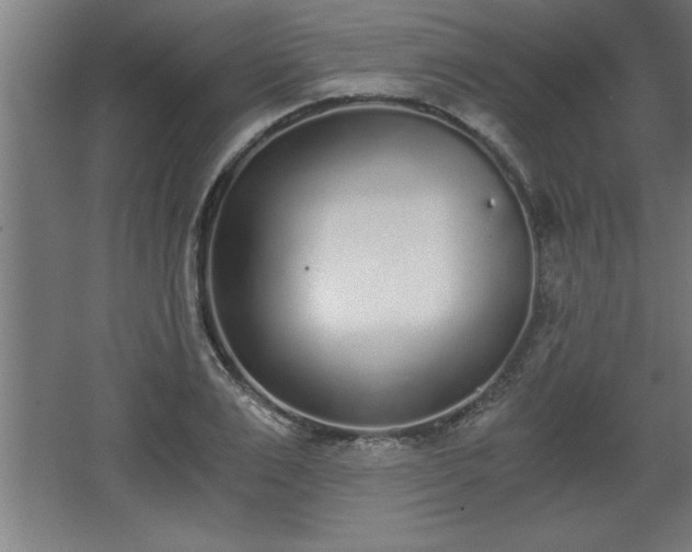 X0000068260983200604281521