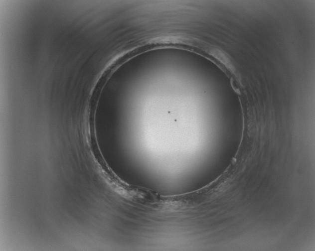 X0000068260984200604281521