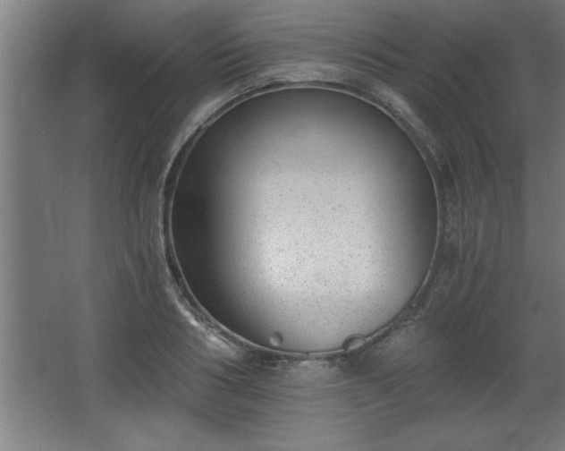 X0000068260986200604281521