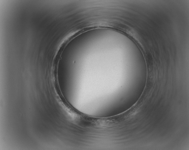 X0000068260987200604281521