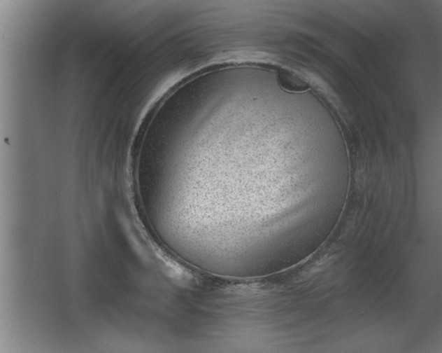 X0000068260990200604281521