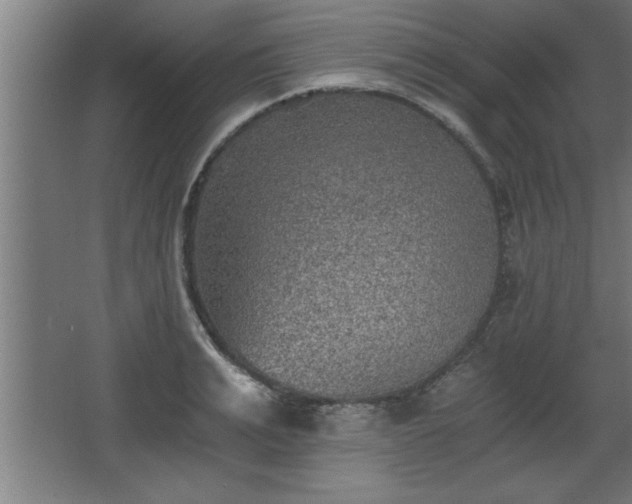 X0000068260991200604281521