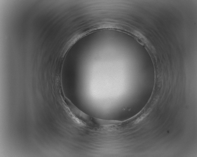 X0000068260993200604281521