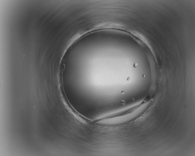 X0000068260997200604281521