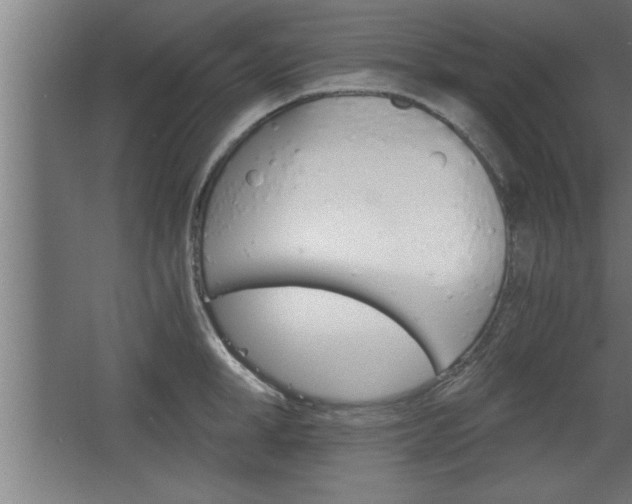 X0000068260998200604281521