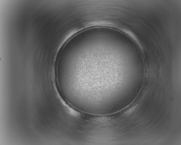 X0000068260999200604281521