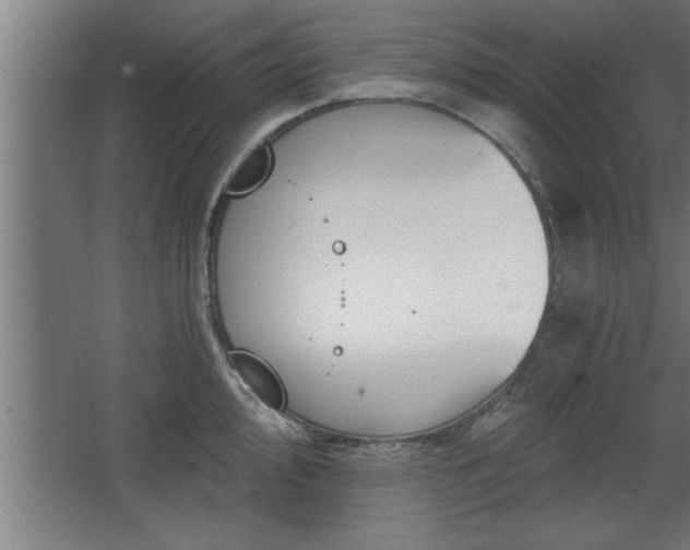 X0000068261000200604281521