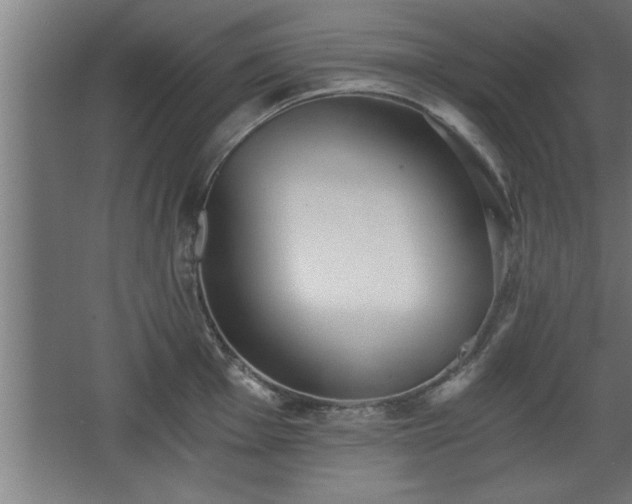 X0000068261001200604281521