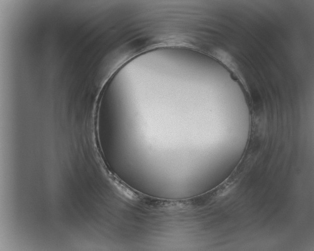 X0000068261002200604281521