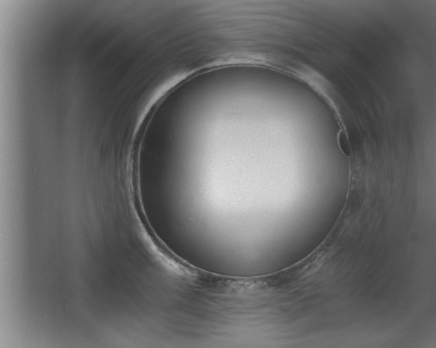 X0000068261003200604281521