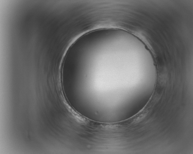 X0000068261004200604281521