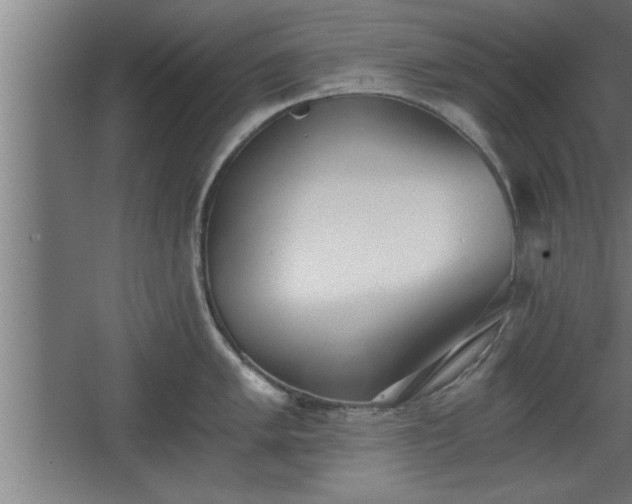 X0000068261005200604281521