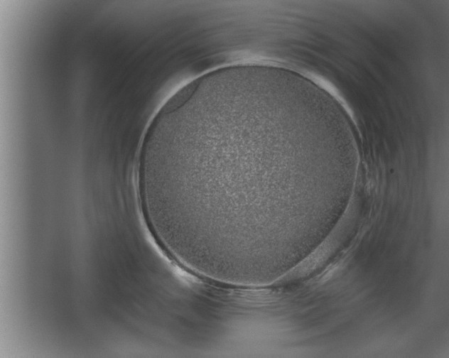 X0000068261007200604281521