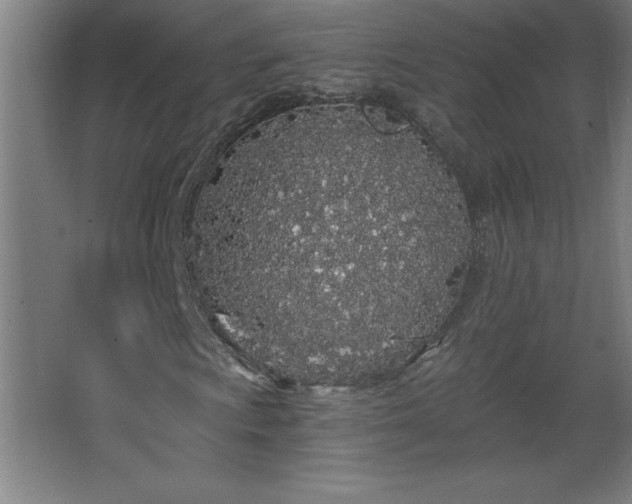 X0000068261009200604281520