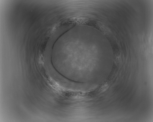 X0000068261010200604281520