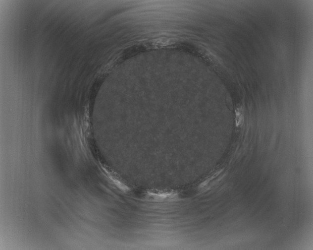 X0000068261011200604281520