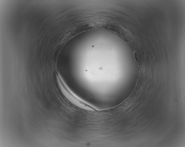 X0000068261012200604281520