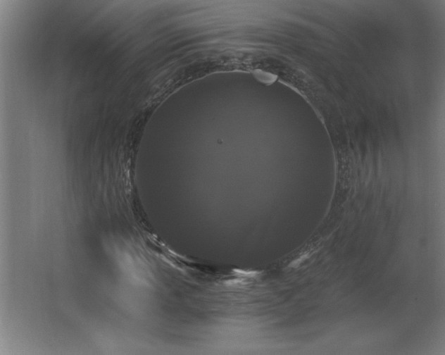 X0000068261013200604281520