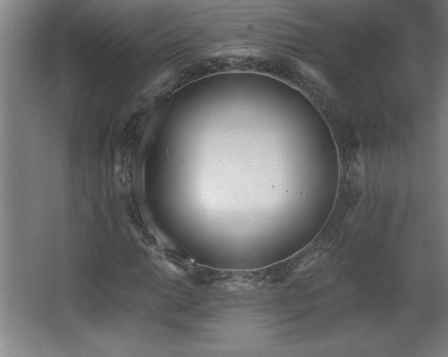 X0000068261014200604281520