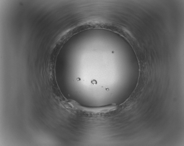 X0000068261016200604281520