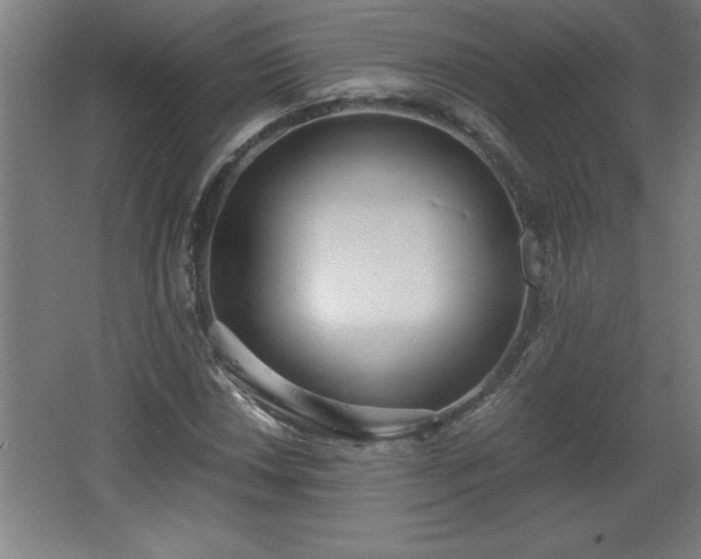 X0000068261018200604281520