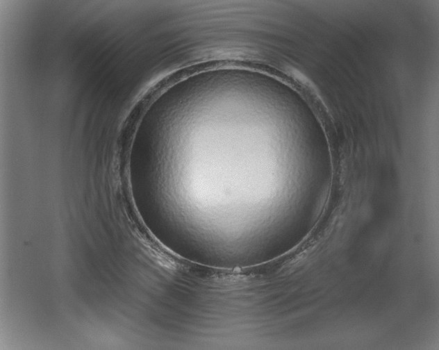 X0000068261019200604281520