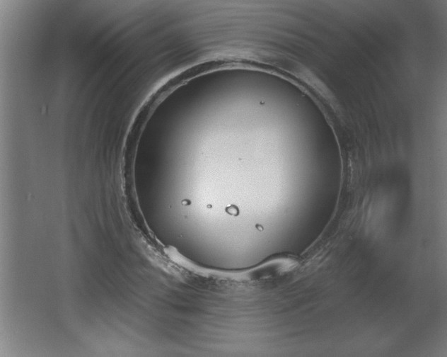 X0000068261020200604281520