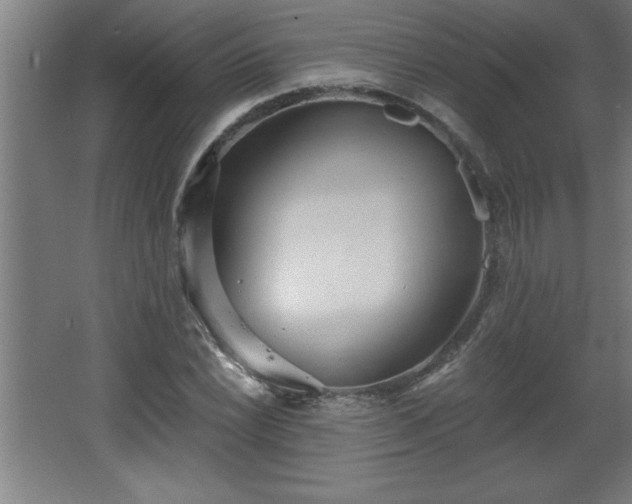 X0000068261022200604281520