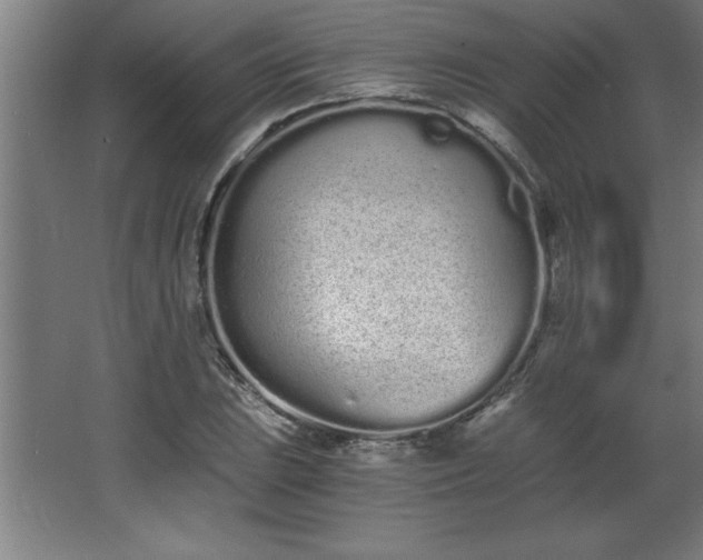 X0000068261023200604281520