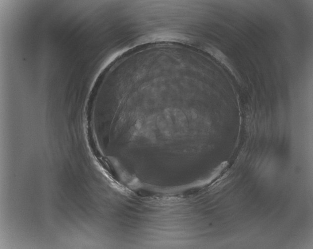 X0000068261024200604281520