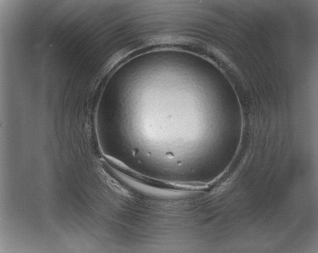 X0000068261025200604281520