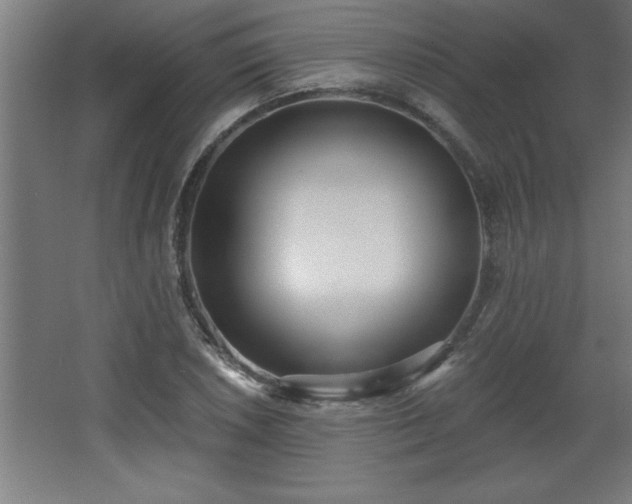 X0000068261026200604281520