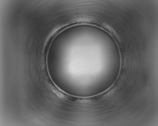 X0000068261027200604281520