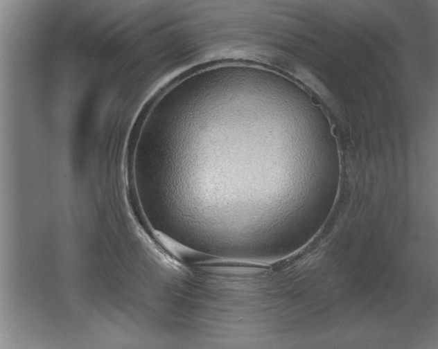 X0000068261028200604281520