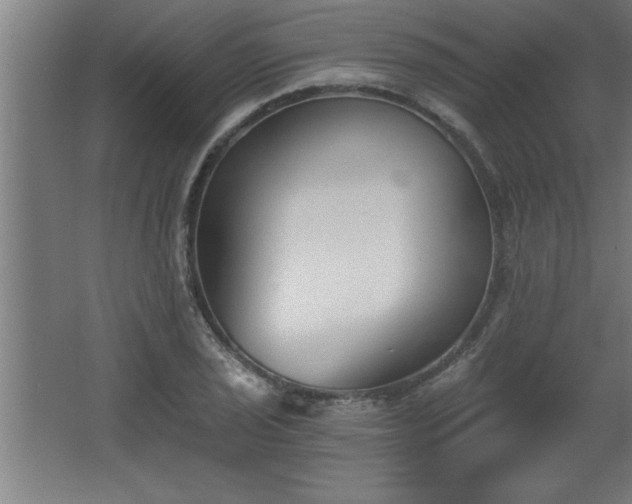 X0000068261029200604281520