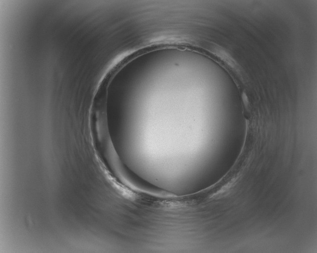 X0000068261030200604281520