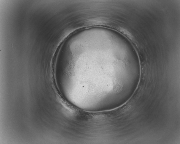 X0000068261031200604281520