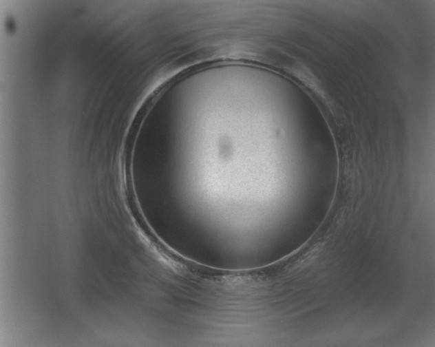 X0000068261032200604281520