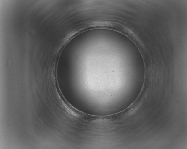 X0000068261033200604281520