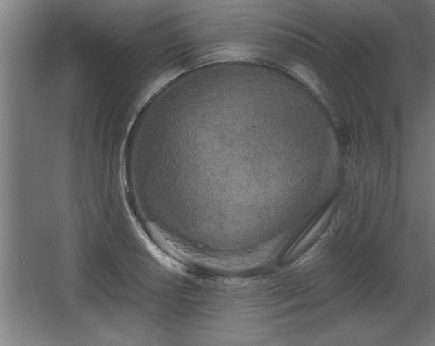 X0000068261034200604281520