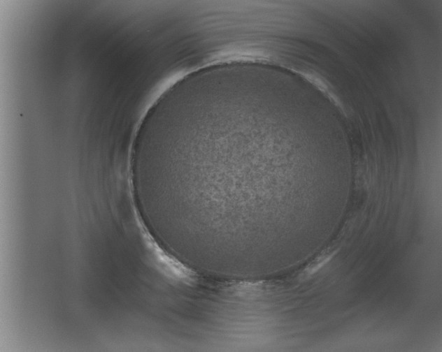 X0000068261038200604281520