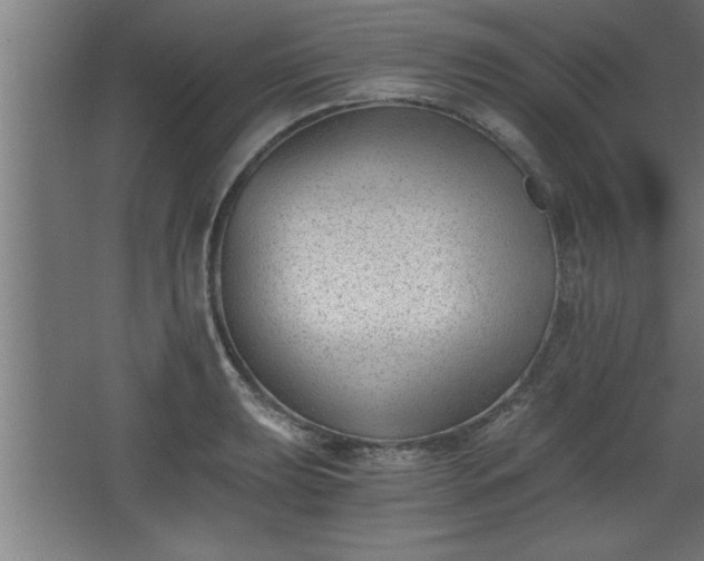 X0000068261039200604281520