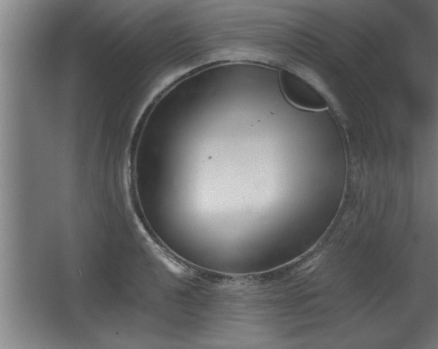 X0000068261040200604281520