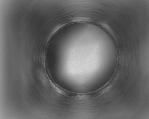 X0000068261041200604281520