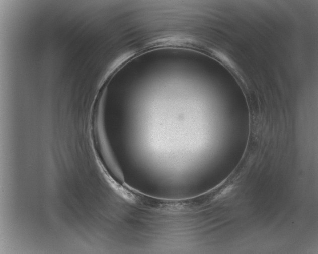 X0000068261042200604281520