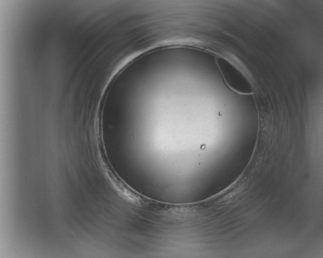 X0000068261044200604281520