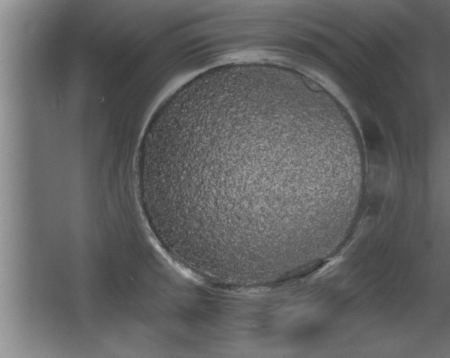 X0000068261045200604281520