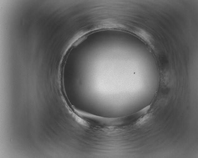 X0000068261046200604281520