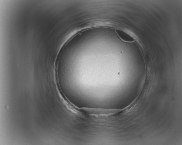 X0000068261047200604281520