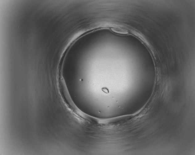 X0000068261048200604281520